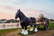 多哈"渴望"公园 (Aspire park)