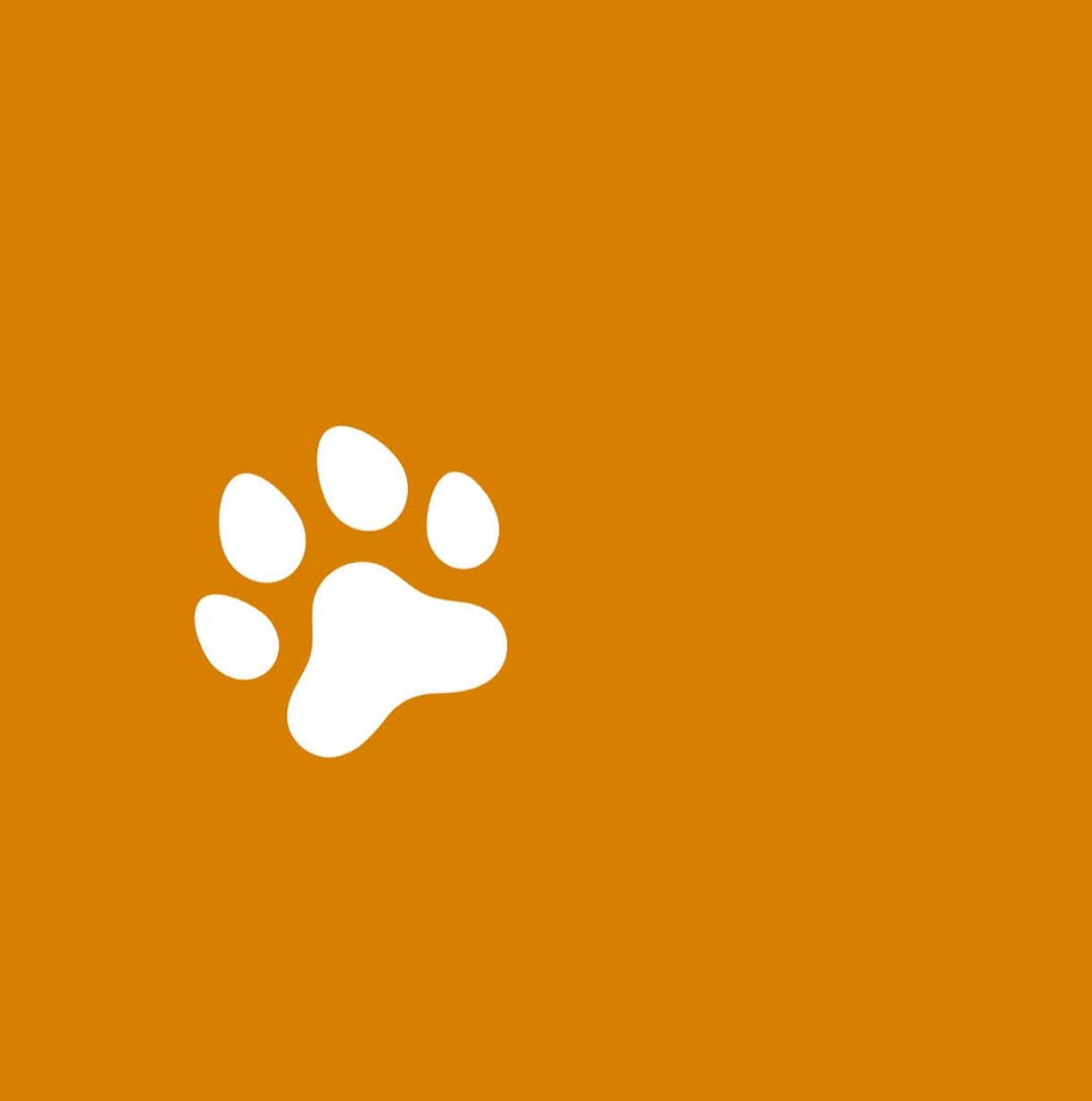 Nova Paw 宠物嘉年华——2026 年珍珠岛