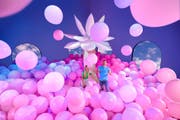 泡泡星球 | 门票与信息