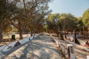 艾尔多沙里动物园和野生动物保护区 (Al Dosari Zoo and Game Reserve)