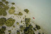 情侣海滩度假胜地