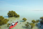 塔奇拉 (Al Thakira) 海滩